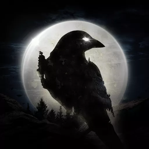 NIGHT-CROWS夜鴉代儲值